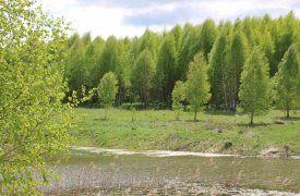 В Тульской области зарегистрировано 360 случаев присасывания клещей за неделю