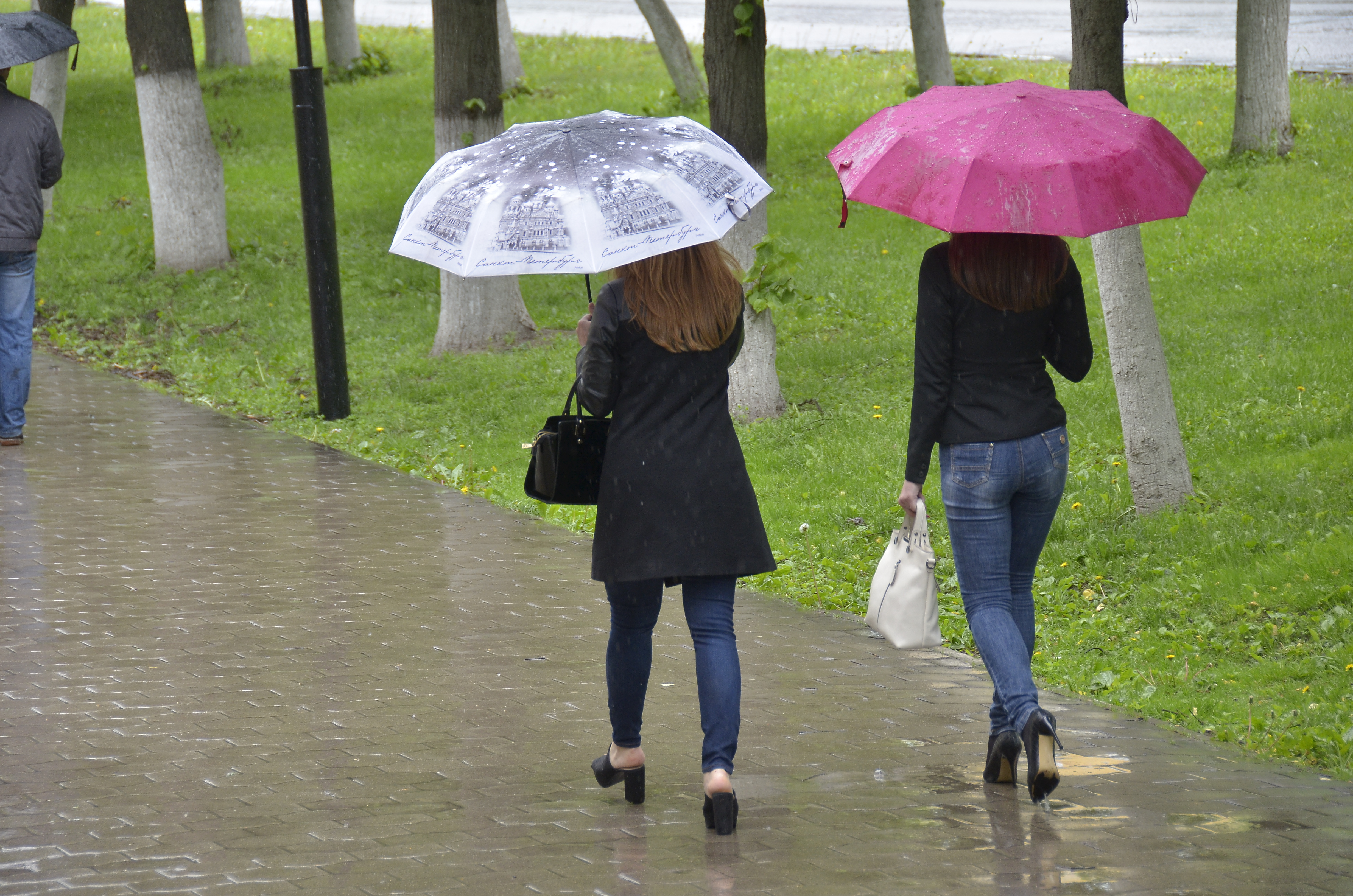 9 августа 20. Дождливая погода. Август дождь. В парке под дождём. Тула дождь.
