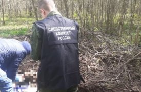В Суворовском районе Тульской области мужчина зарубил собутыльника и закопал в лесу