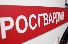 В Туле экипаж вневедомственной охраны Росгвардии защитили бригаду медиков от агрессивного пациента