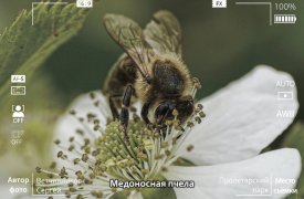 Туляков приглашают на фотовыставку в экзотариум