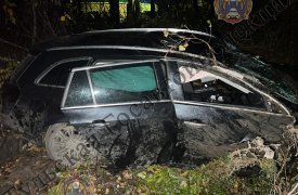 В ДТП под поселком Грицовскийв Тульской области пострадали трое человек