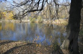 В Туле 29 октября будет облачно и дождливо, +12 градусов