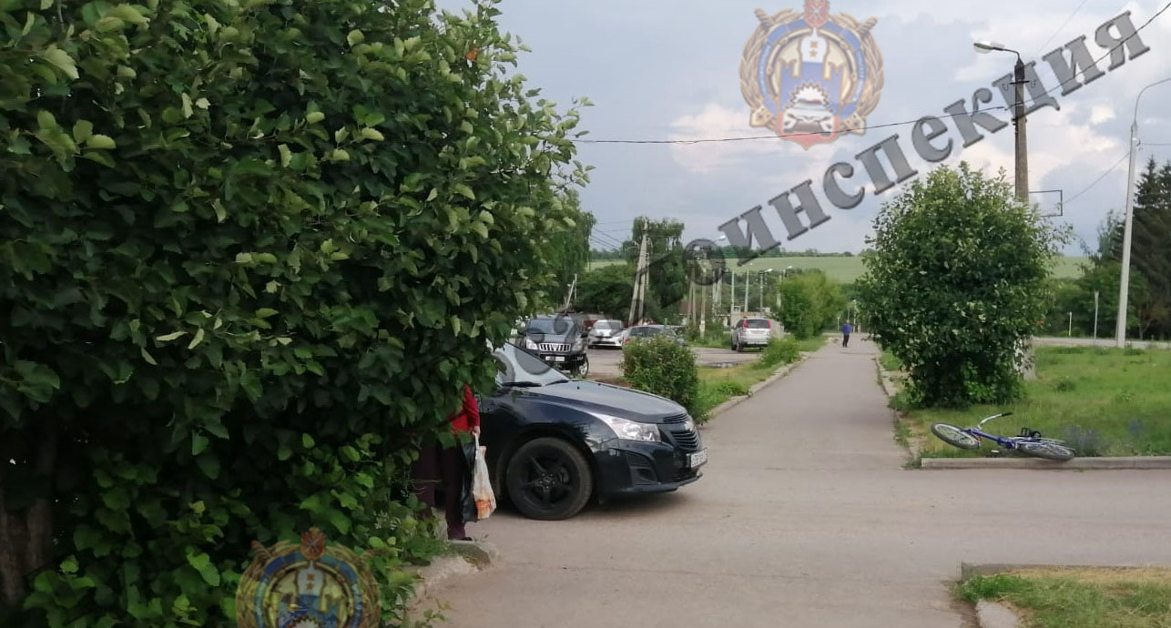 щекино полевой