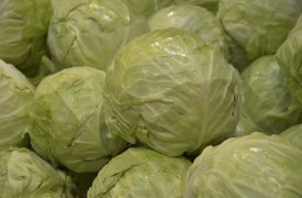 На минувшей неделе в Тульской области подорожали свекла и морковь