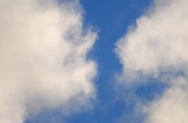 В Тульской области – самый теплый январь за всю историю наблюдений