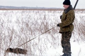 По итогам зимнего учета диких животных число рысей начало расти в Тульской области