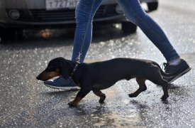 Прохладно и пасмурно: прогноз погоды в Тульской области на 12 и 13 апреля