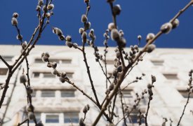 Прогноз погоды на 19 апреля в Тульской области