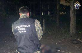 В Богородицке мужчина погиб от рук сожительницы: возбуждено уголовное дело