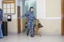Спрятал наркотики в подъезде: 12 лет «строгача» назначили наркосбытчику в Новомосковске Тульской области