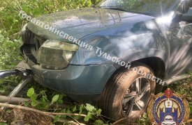 Водитель Renault протаранила Chevrolet и улетела в дерево в Щекинском районе Тульской области