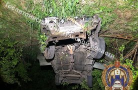 Смертельное ДТП: водитель Lada сбил лося и улетел в кювет в Арсеньевском районе Тульской области