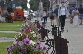 Жара спадет: прогноз погоды в Тульской области на 4 июня
