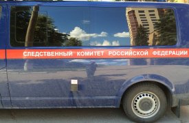 В Туле расследуют дело о гибели женщины и ребенка на пожаре