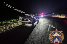 Под Тулой пьяный водитель Skoda снес подростка на питбайке