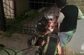 Огнеборцы в Новомосковске Тульской области помогли попавшей в ловушку собаке 