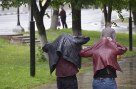 Опять похолодание: прогноз погоды в Тульской области с 16 по 20 июня