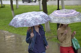 Тульскую область накроют дожди и грозы