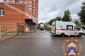 В Новомосковске «Газель» задним ходом сбила пешехода