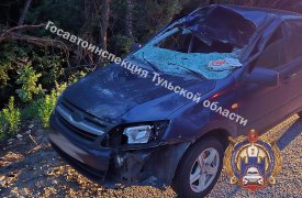 Водитель «Лады» наехал на живое препятствие на трассе в Заокском районе Тульской области