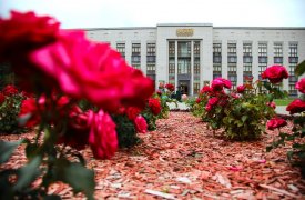 Тульский музей изобразительных искусств закрыли на ремонт