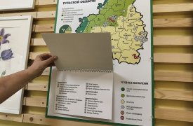 Природа в красках: в Тульском экзотариуме откроется выставка об исчезающей флоре и фауне