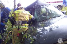 Два пожара и четыре ДТП ликвидировали спасатели в Тульской области за сутки