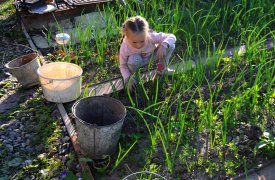 С 1 сентября в Тульской области ужесточат правила использования земельных участков