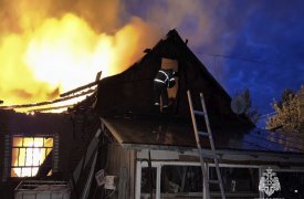 Пожар в жилом доме и хозпостройках потушили спасатели в Тульской области