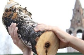 В Тульской области пьяный сын угрожал матери поленом