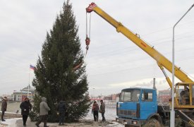 В Туле на набережной установили 13-метровую новогоднюю красавицу
