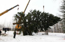 Главную новогоднюю елку Симферополя повезут из Великого Устюга через Тульскую область