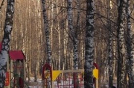 Березовую Рощу Тулы благоустроят