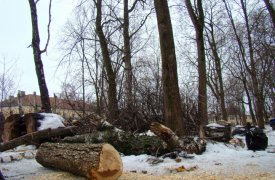 На благоустройство Рогожинского парка Тулы потратят 30 млн. рублей