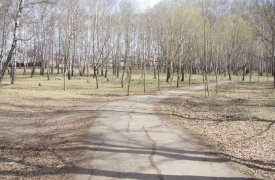 Вокруг березовой рощи в Туле установят ограждение и выставят пост полиции
