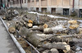 За смерть рабочего ответит руководитель предприятия ЖКХ в Тульской области