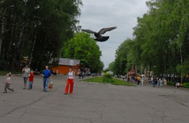 8 августа туляки могут в парке бесплатно обследоваться у онкологов