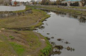 В Туле хотят поднять уровень Упы и приступили к расчистке её берегов