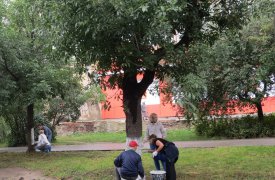 В общегородском субботнике в Туле приняли участие 12 тысяч человек