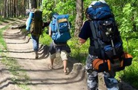 В Туле выберут 