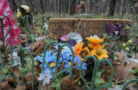 В Туле разрастается кладбище домашних животных