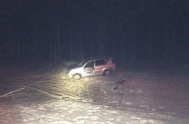 Под Тулой водитель на «SsangYong» врезался в дерево