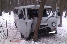 На трассе «Дон» водитель «буханки» въехал в дерево