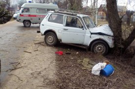 В Суворовском районе пенсионер на «Ниве» влетел в дерево