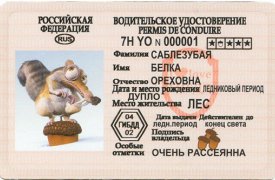 Житель Тульской области 4 года ездил с поддельными правами