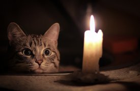 Где в Туле не будет света 21 апреля?