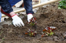 20 тысяч туляков выйдут на субботник накануне Дня Победы