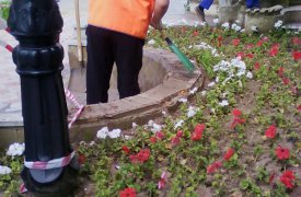 В Туле благоустроили территорию около ЗАГСа по Центральному району