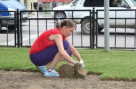 На улице Октябрьской в Туле ведутся работы по укладке рулонного газона